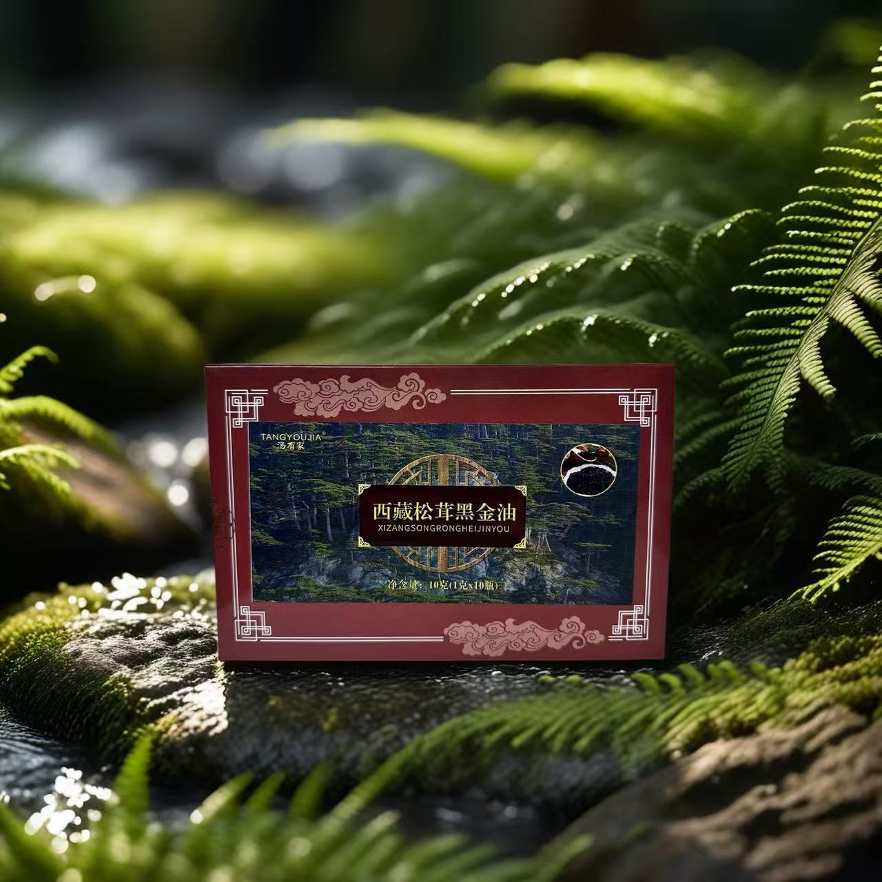 西藏松茸黑金油-干货专属0