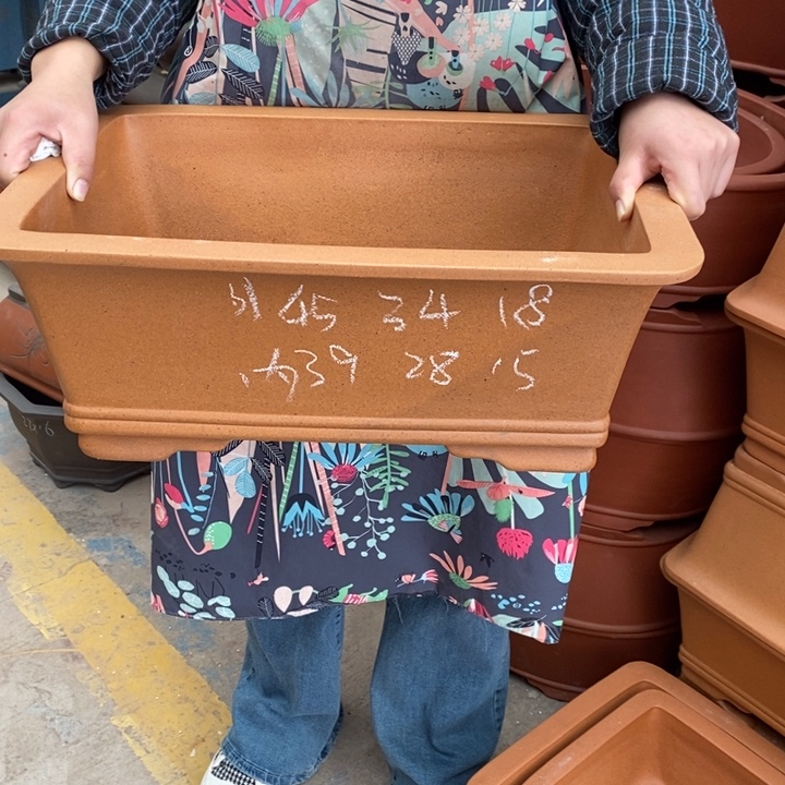 紫砂花盆只顾吃药睡一