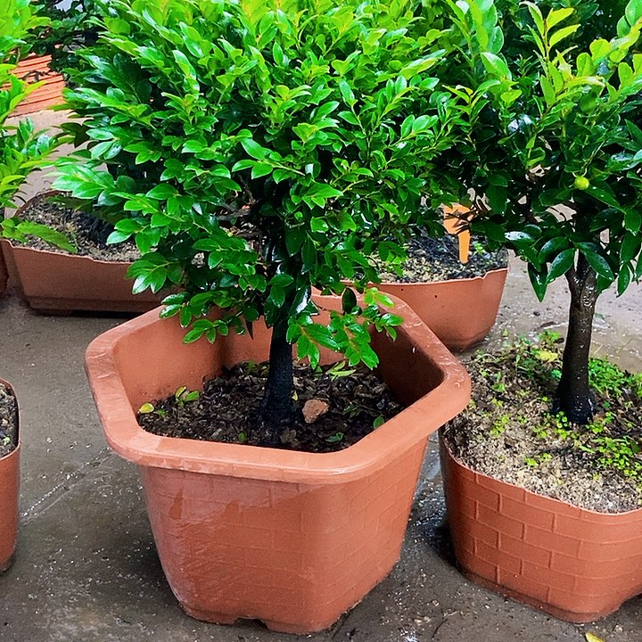 完全开放588885588888