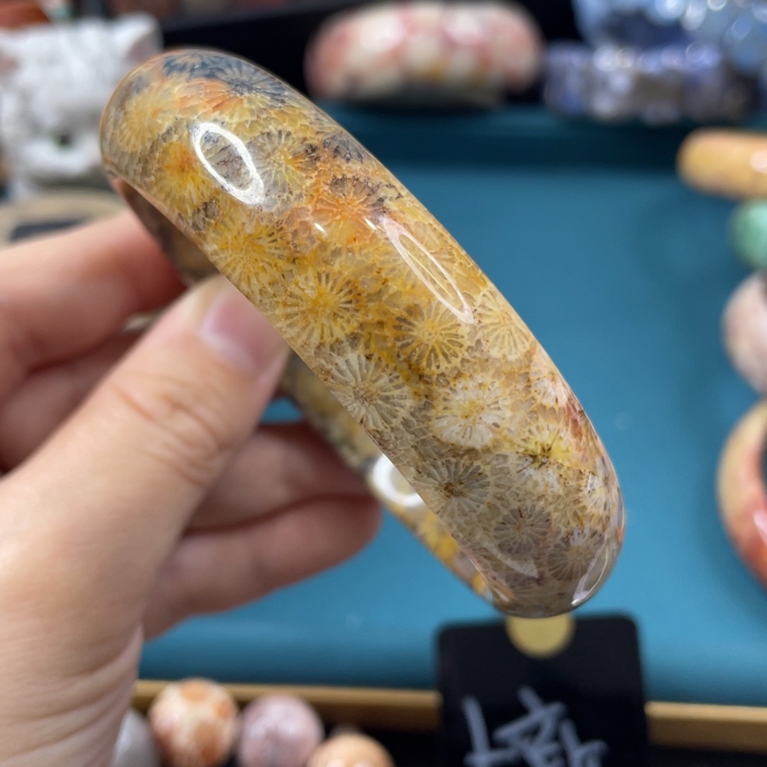 未镶嵌手镯硅化玉