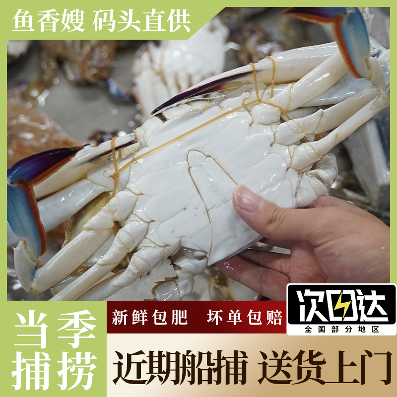 舟山梭子蟹鲜活特大新鲜冷冻螃蟹白蟹3-9两公蟹多只规格3斤【冻蟹】
