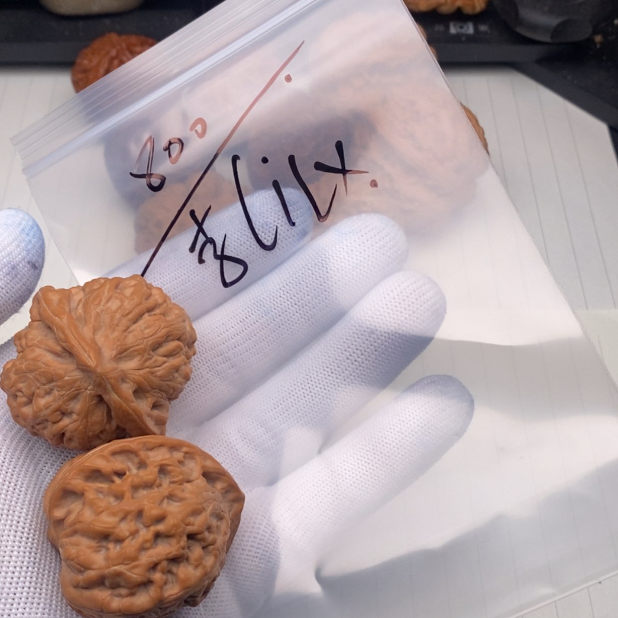 【闪购商品】文玩核桃吊坠李***x凤凰台