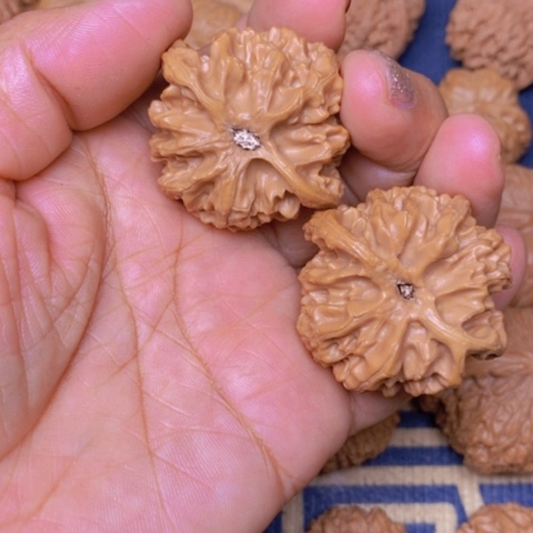 【闪购商品】文玩核桃吊坠刘*生苹果41