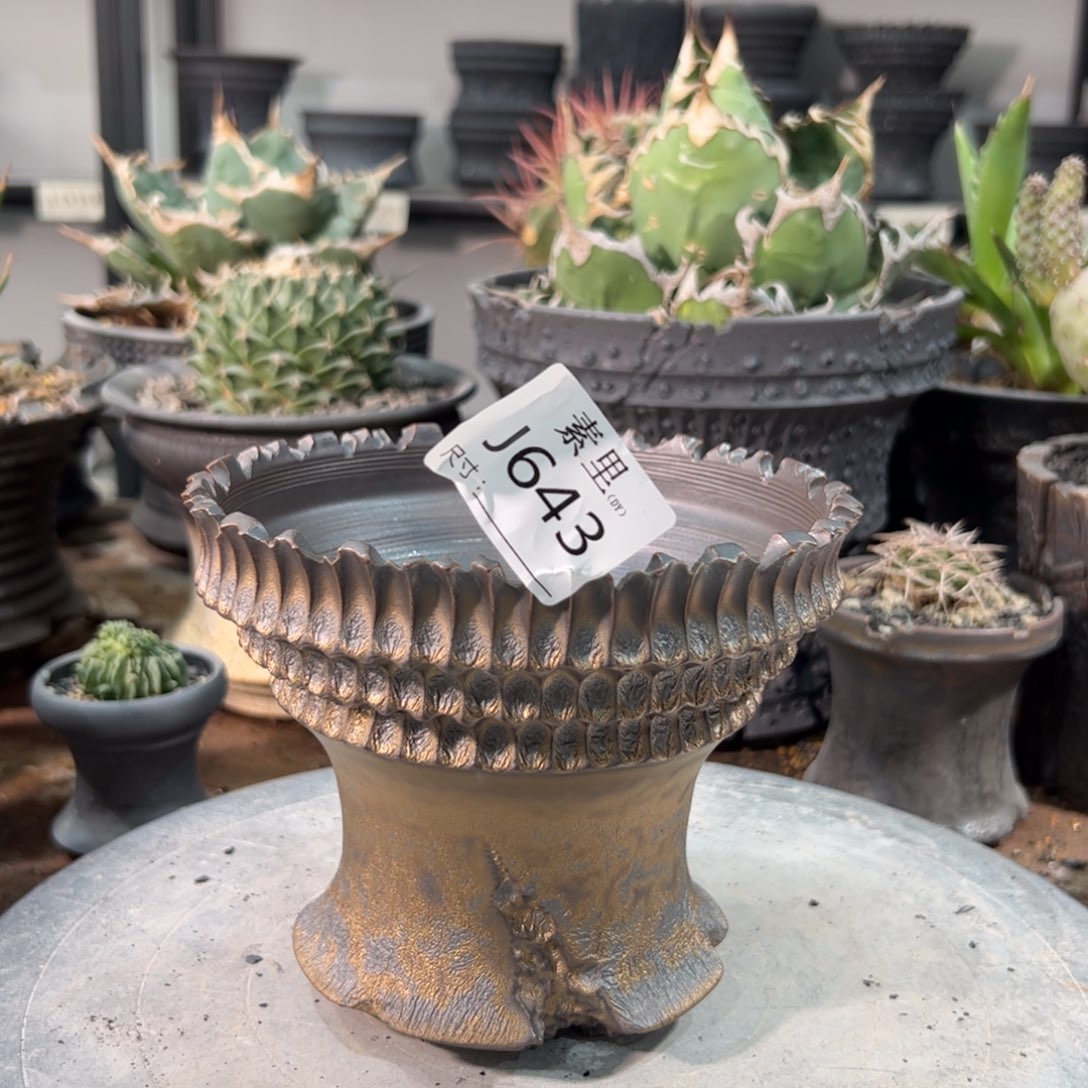 景德镇手工素里内口14高12.4