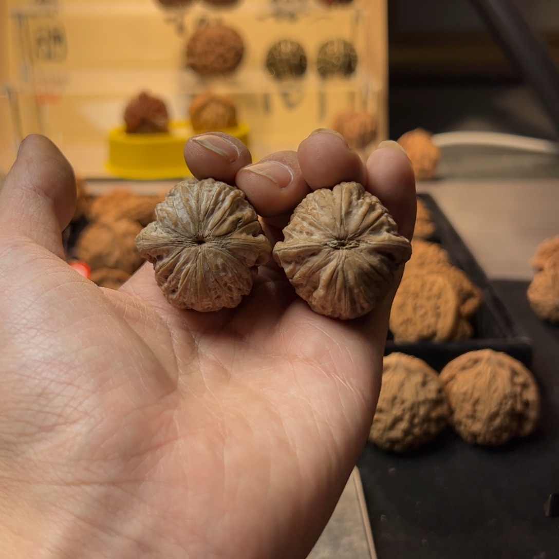 R***.文玩核桃文玩手串