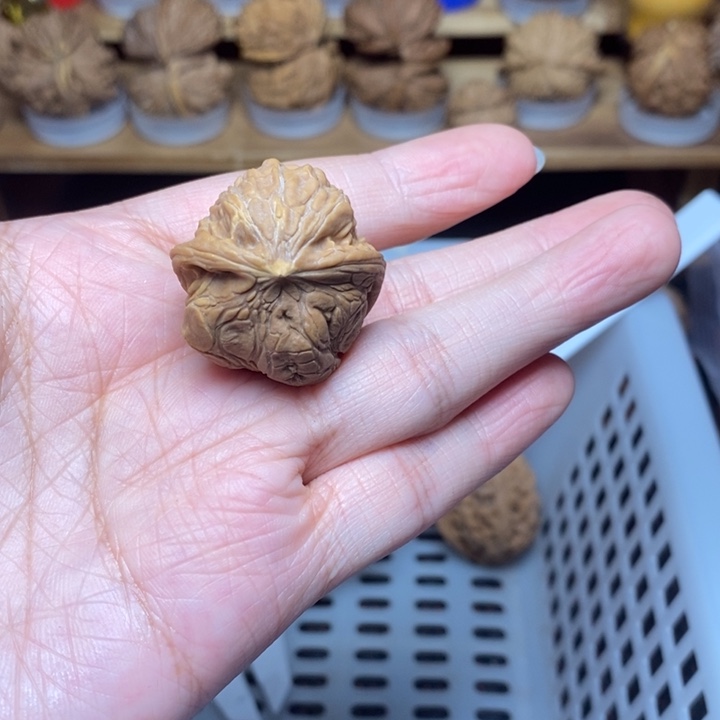 咖***咖文玩核桃把件尺寸