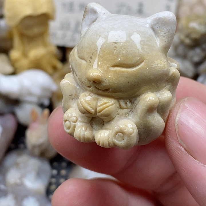 颈饰未镶嵌硅化珊瑚（珊瑚玉）