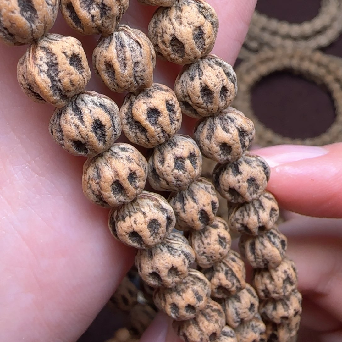 柏香籽/百香籽手串蔡*松