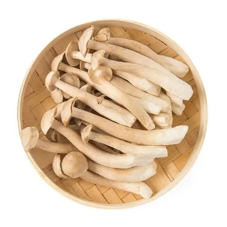 新鲜鹿茸菇约250g±20g/份