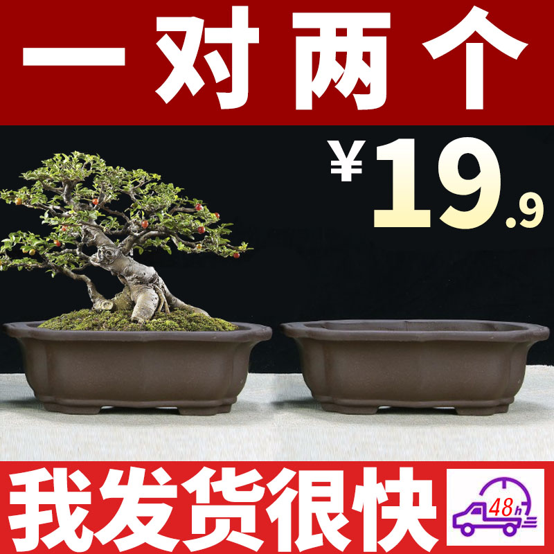 特大号紫砂莲花盆清仓多肉绿植盆景长方形种悬崖大号陶瓷花盆