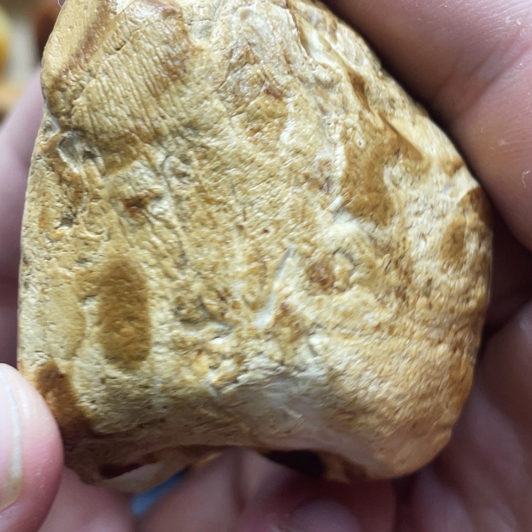未镶嵌定制琥珀定制