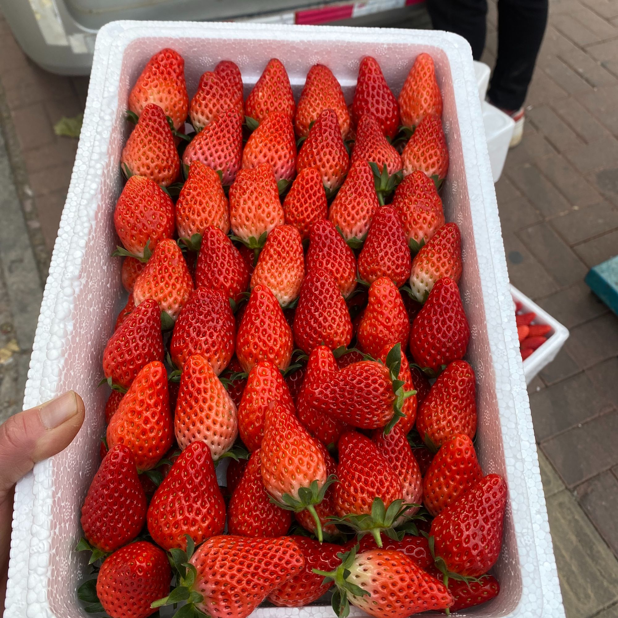 角峪中果牛奶草莓 3斤左右一箱  