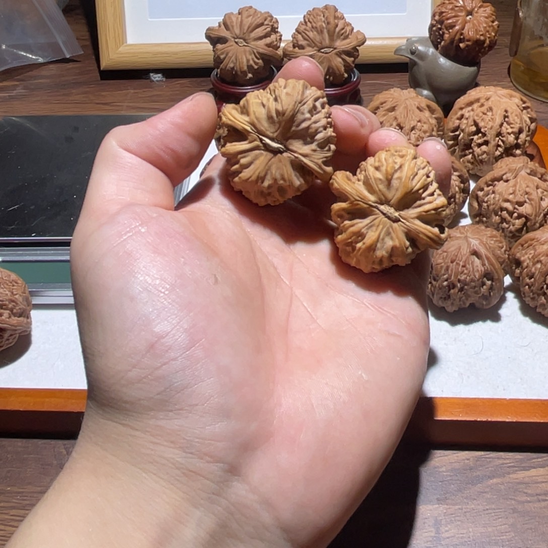 把件文玩核桃39全品白狮子