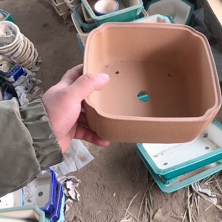 紫砂我要不就是你一定