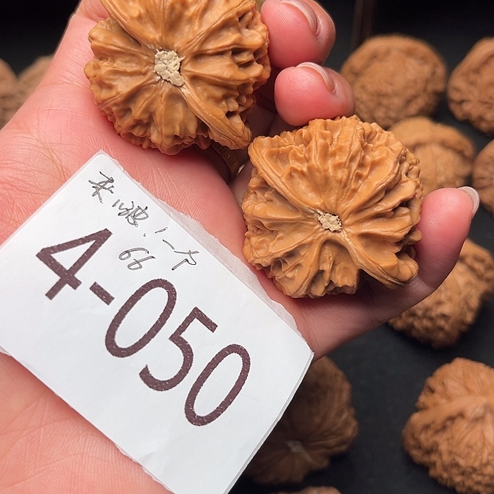 来***个核桃44宫灯4050核桃