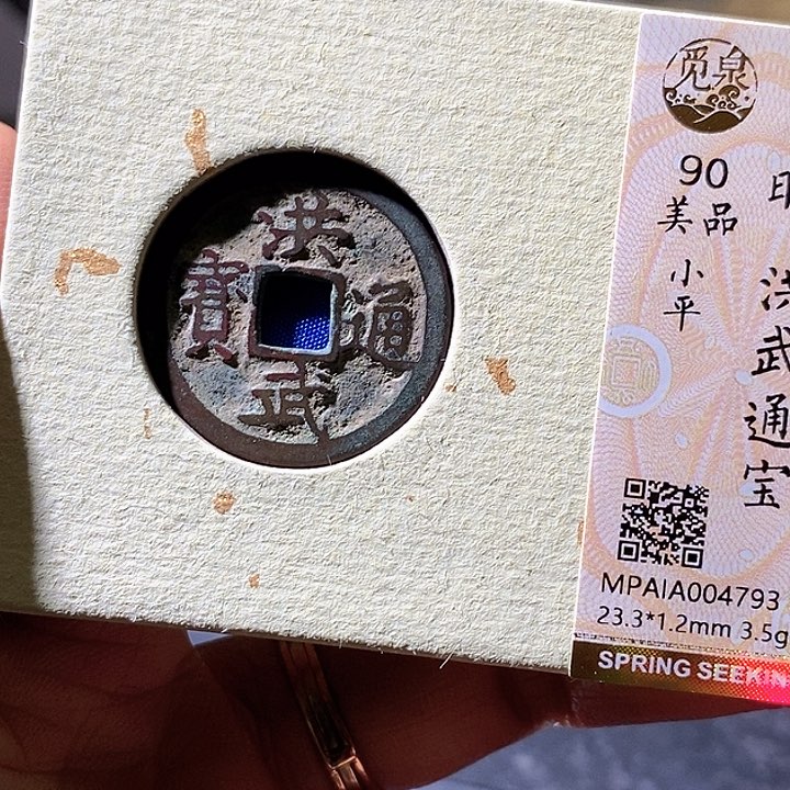 铜洪武通宝。华夏天玺总店793