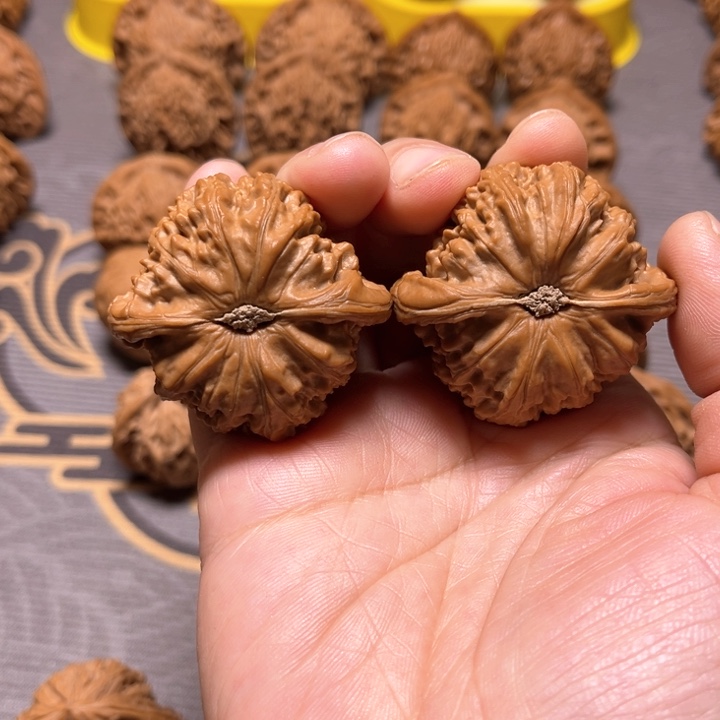 核桃把件宝****缆43+白狮子文玩核桃