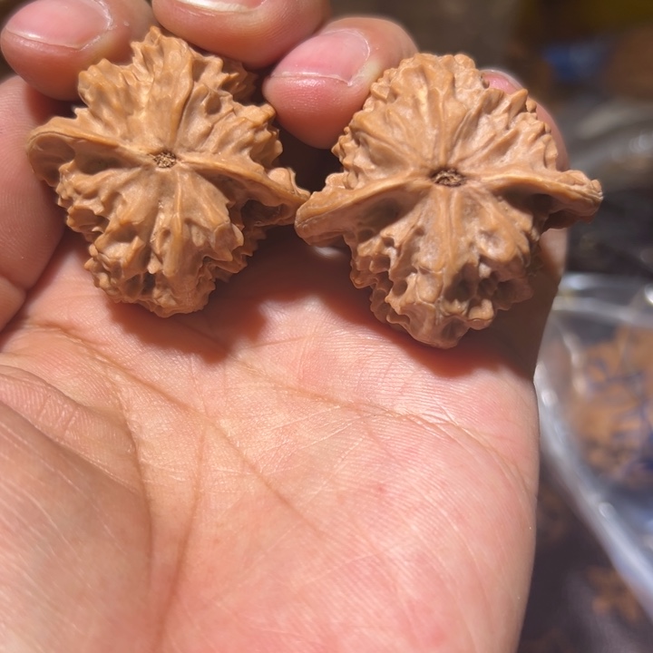 老***仔核桃全品无修白蛇谷