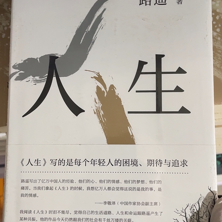 人生     精装带塑封