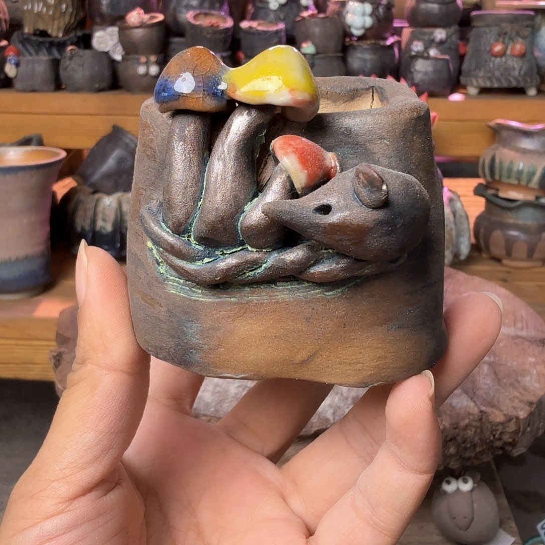 重庆小燕子欢迎大家