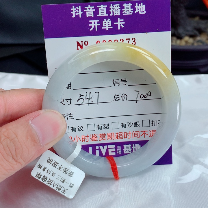 未镶嵌手镯翡翠54.7