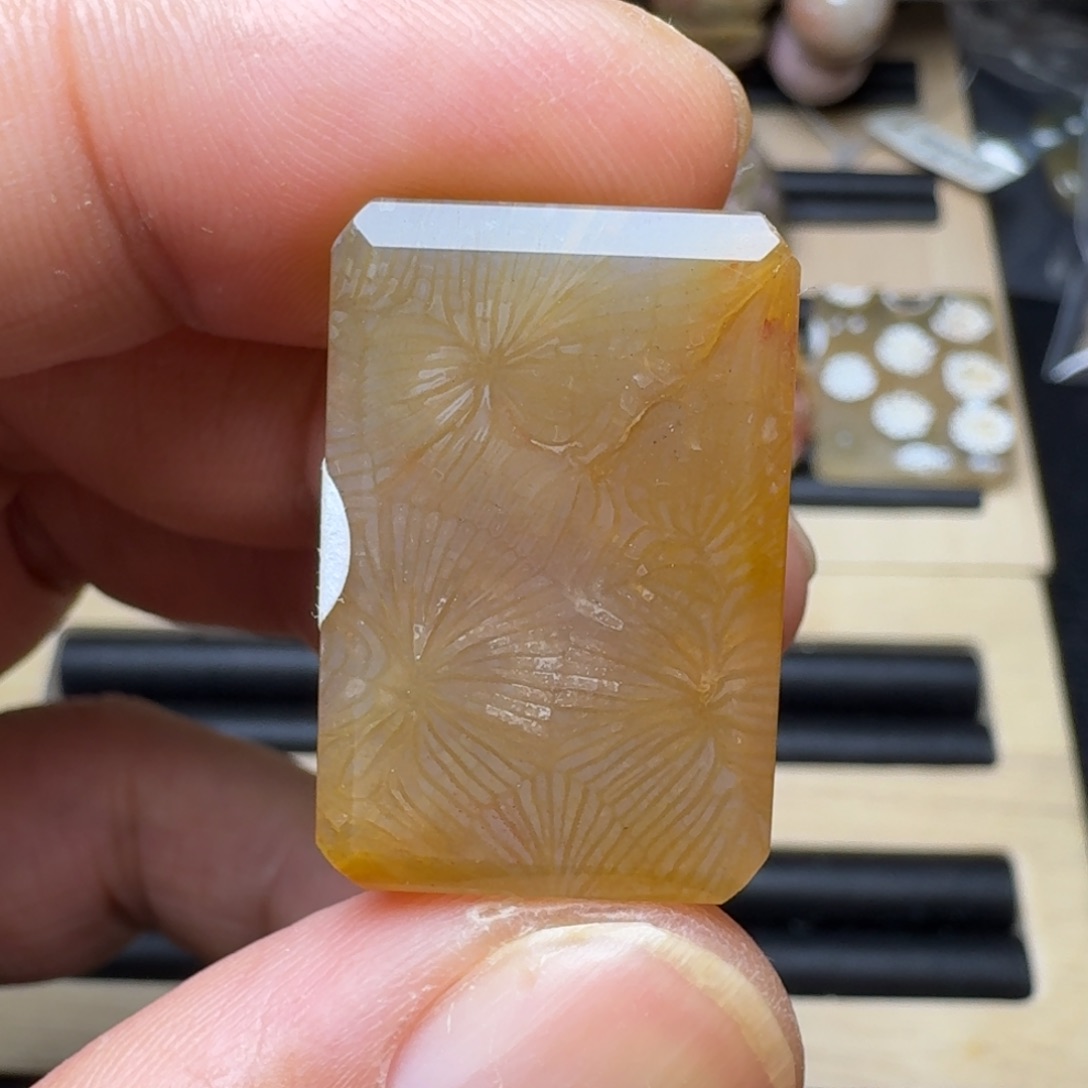 硅化珊瑚（珊瑚玉）未镶嵌纯天然色有机玉石保真色