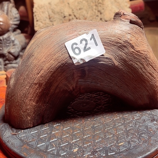 大果紫檀（缅甸花梨）