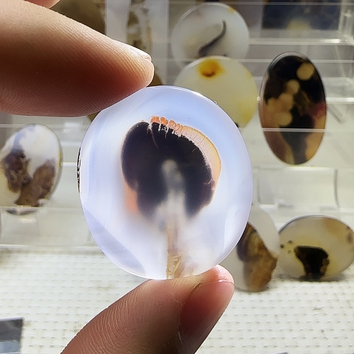 鱼***樵玛瑙/玉髓未镶嵌珠宝奇石