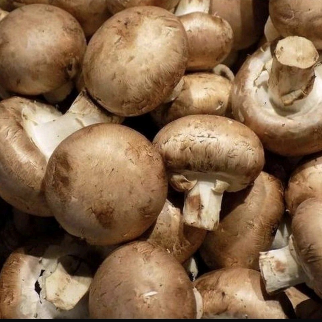 香菇约/500g（1斤）份