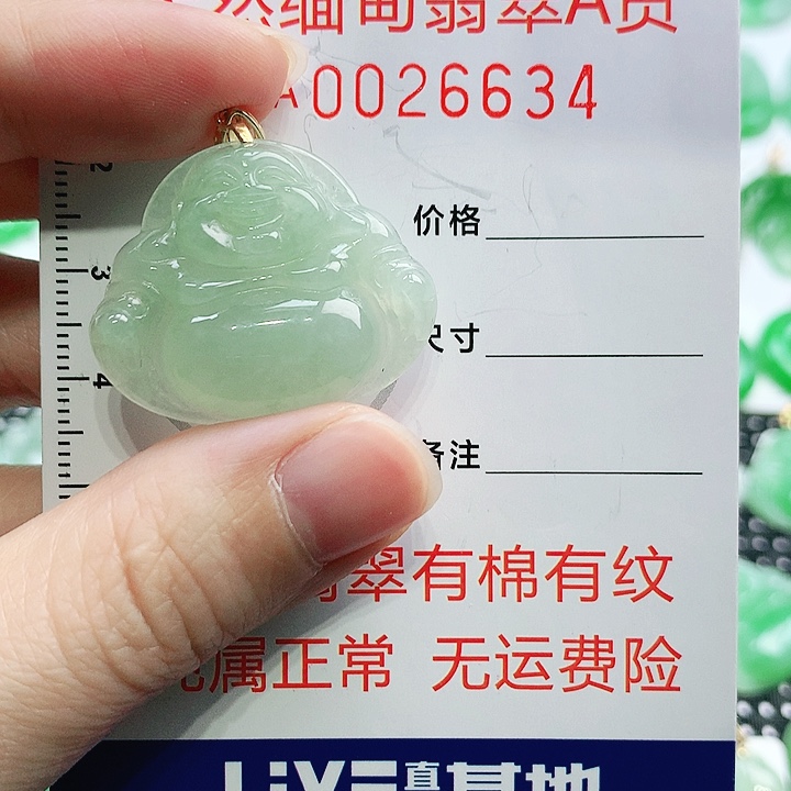 翡翠未镶嵌颈饰11111111