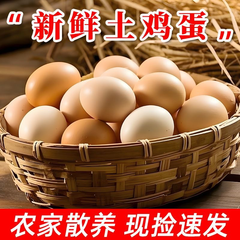 (顺丰包邮)农家散养柴鸡蛋正宗土鸡蛋新鲜现捡现发