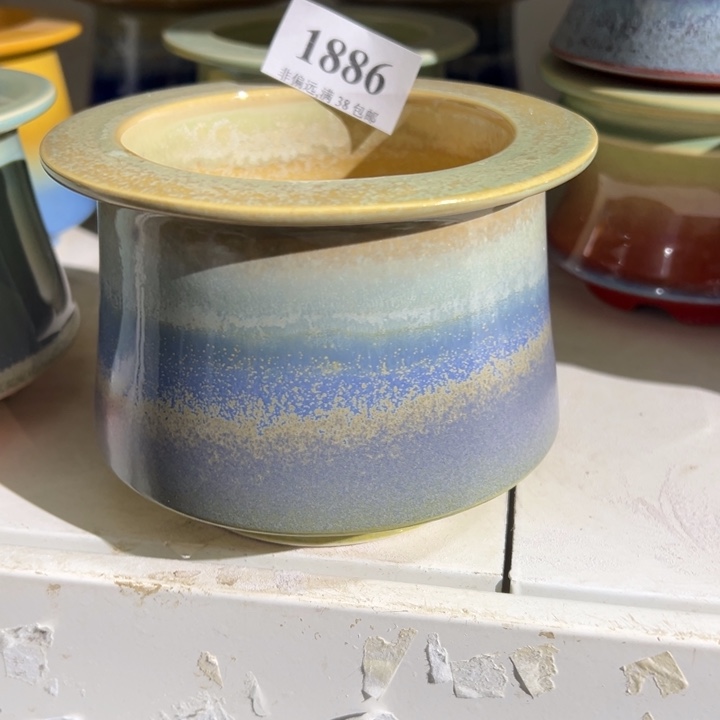 口8.5 未满30运费到付