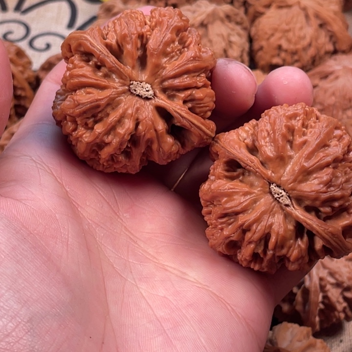 泓***球桃核吊坠大粗筋全品