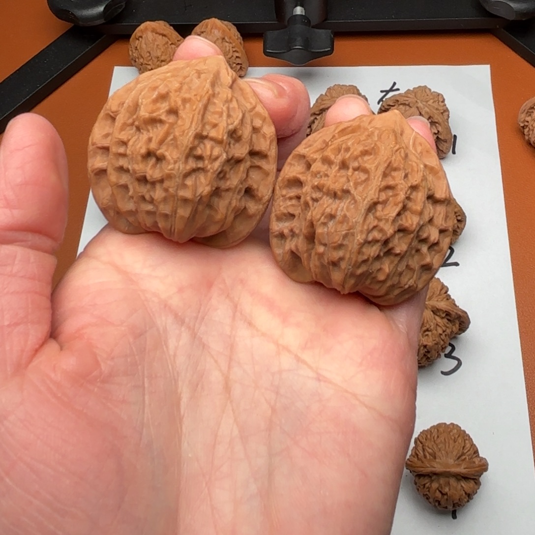 C***C文玩核桃把件公子帽