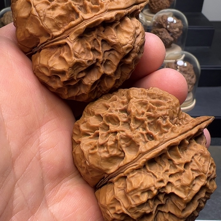 文玩核桃把件苍龙古蟾50mm