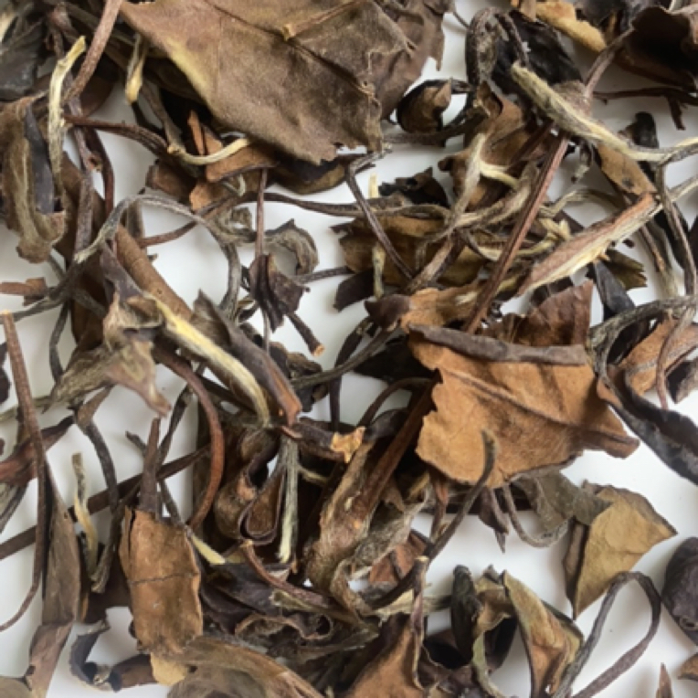 200白茶寿眉可焖可煮
