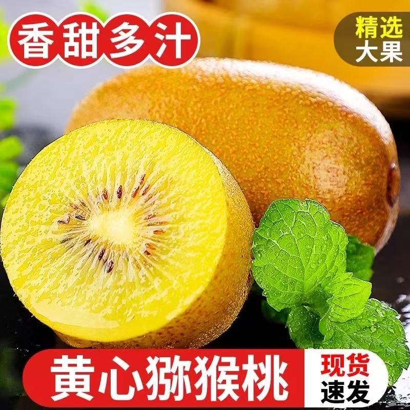 g四川正宗黄心猕猴桃金果H20纯甜无酸新鲜水果孕妇水果产地直发