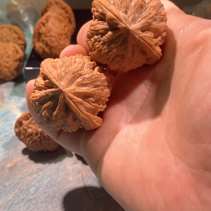 把件文玩核桃44蛟龙货头