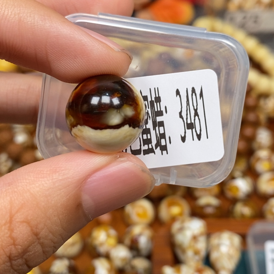 蜜蜡未镶嵌珠宝奇石3481