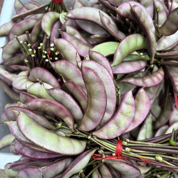 贵州农家自种架豆扁豆刀豆紫边现摘新鲜美味