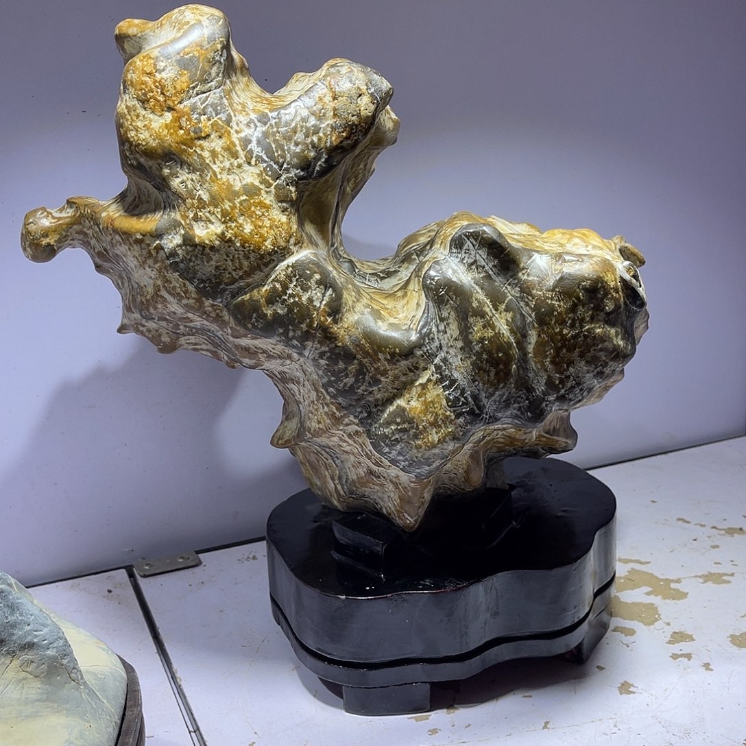 紫砂我也想说我现在是辞*