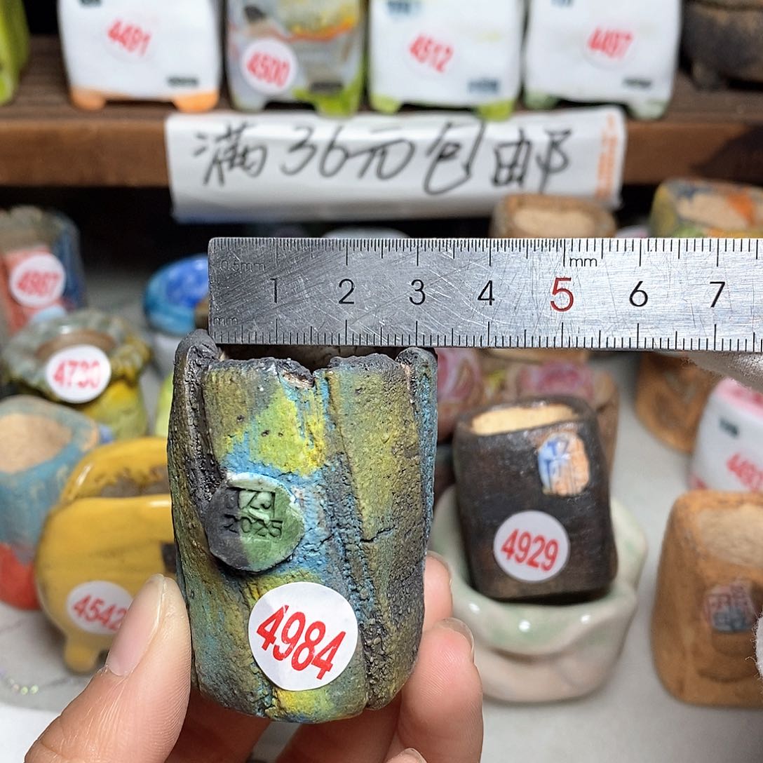 红陶拍5送一个小