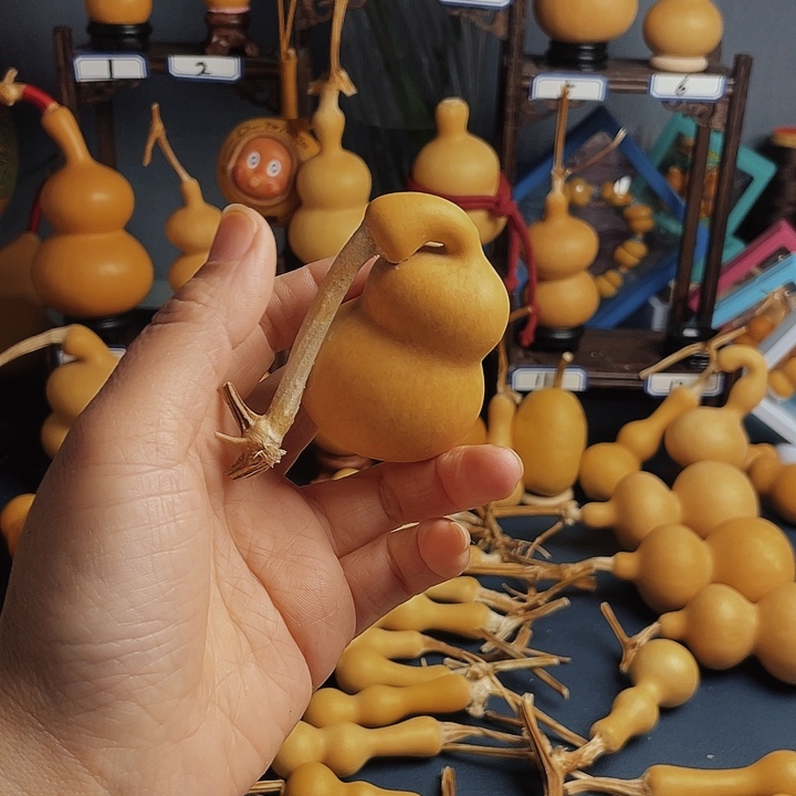 庸***、葫芦花等植物精华萃取精华