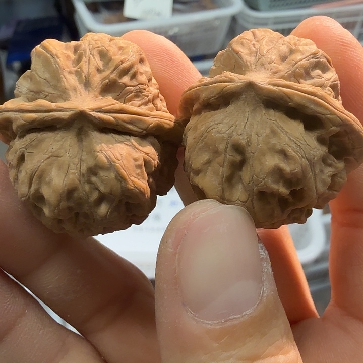 核桃全品无修门头沟元宝