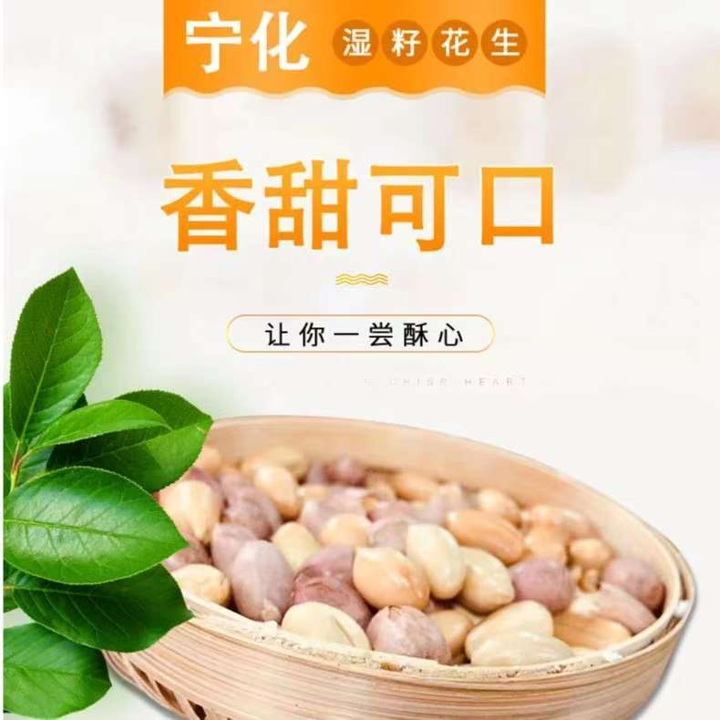 【宁化非遗湿籽花生】宁化湿籽花生追剧下酒必备美味坚果炒货零食