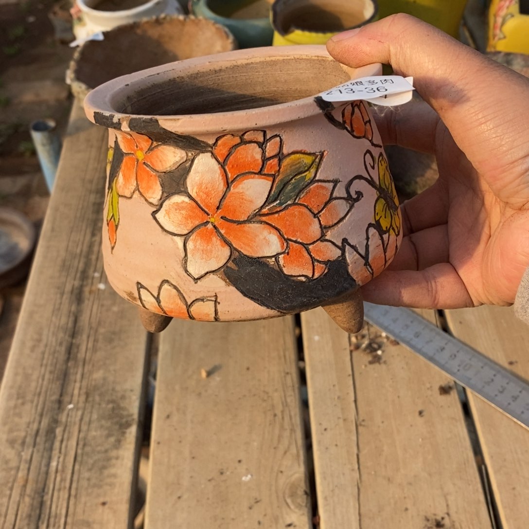 红陶龚*36号多肉盆一个呀