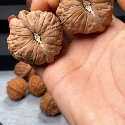 文玩核桃前排南瓜尺45