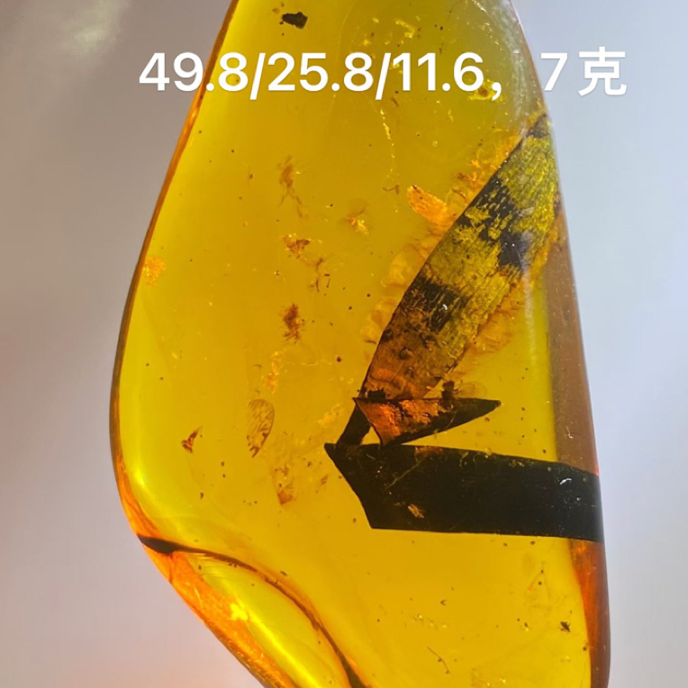 “”竹叶”吊坠，保存的清晰，淡红茶珀体，49.8/25.8/11.6，7克