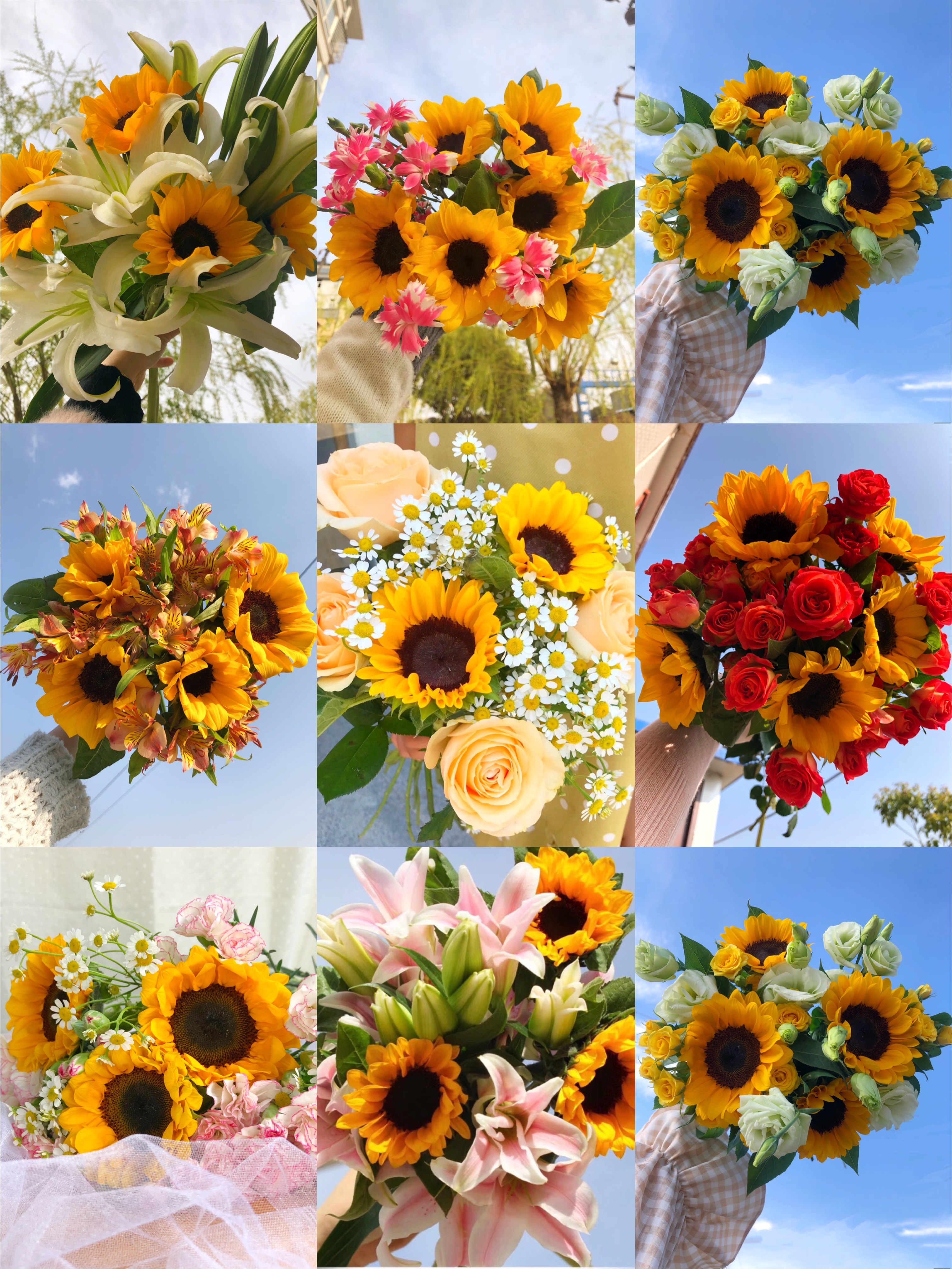 【福利套餐】福利四十五   云南基地鲜花   基地直发