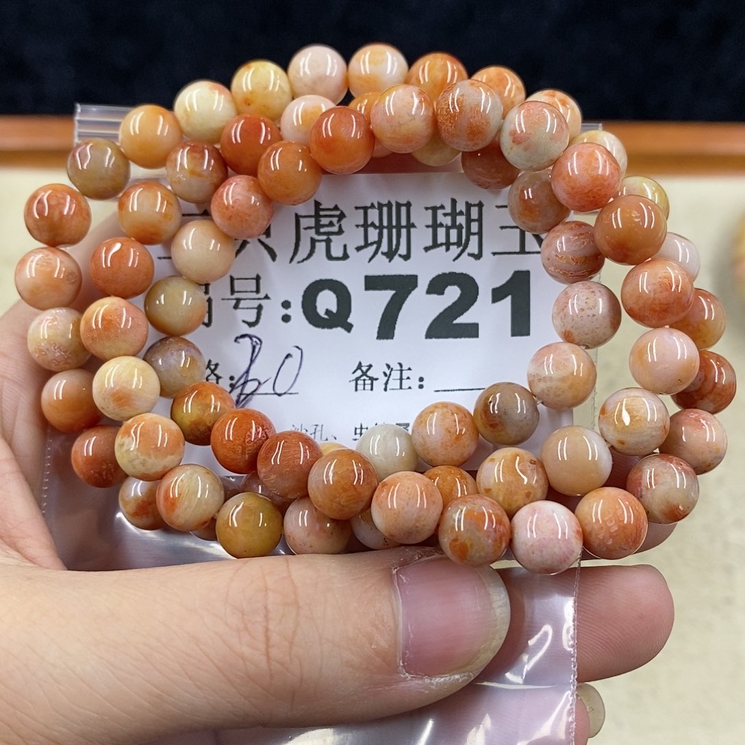 硅化珊瑚（珊瑚玉）1未镶嵌永*